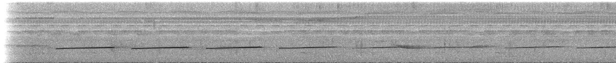 Grisin sanglé - ML435073881
