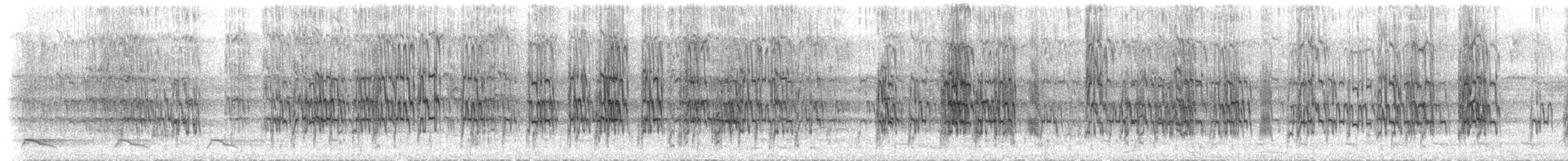 koboltvingeparakitt - ML435077161