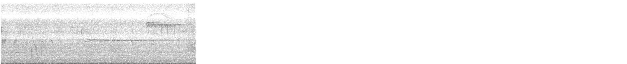 káně širokokřídlá - ML435165241