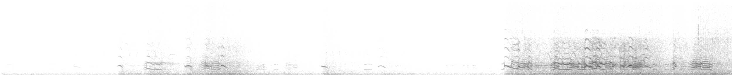 Гуска білолоба - ML435315241