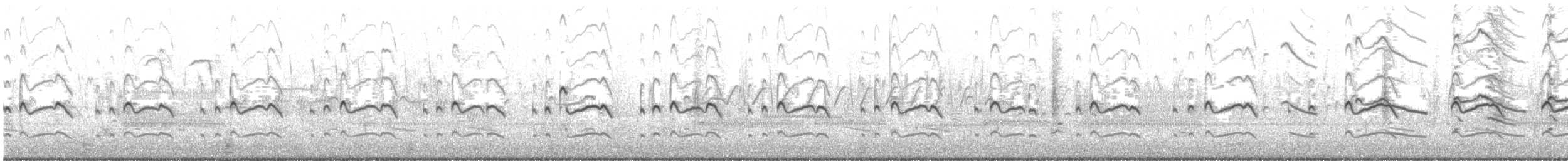 Chorlitejo Culirrojo - ML435317411