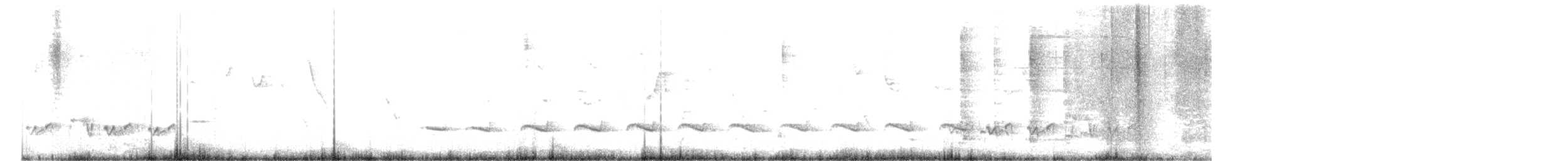 Белобровый личинколов - ML435324011