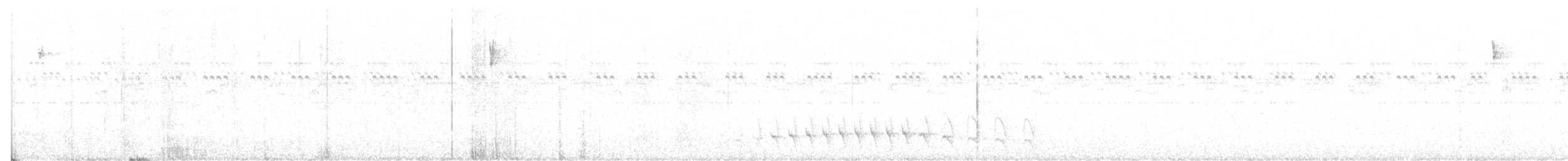 Fleckenbrust-Ameisenfänger - ML435327541