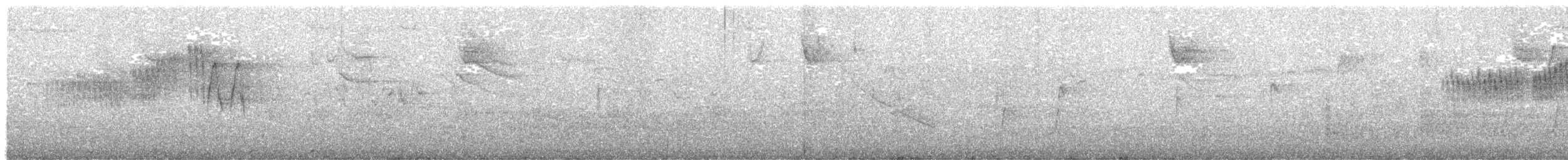 Northern Parula - ML435410641