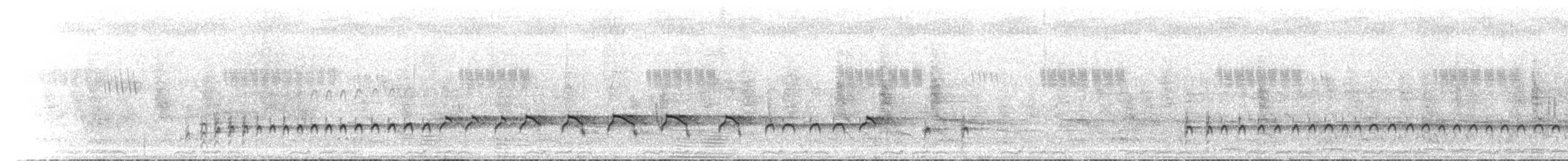 Chorlitejo de Forbes - ML435436431