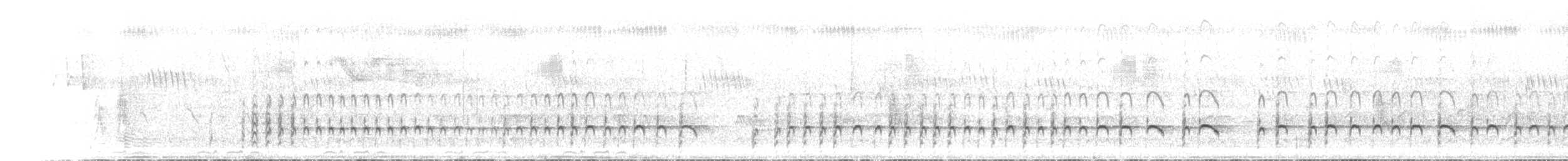 ニシミスジチドリ - ML435436961