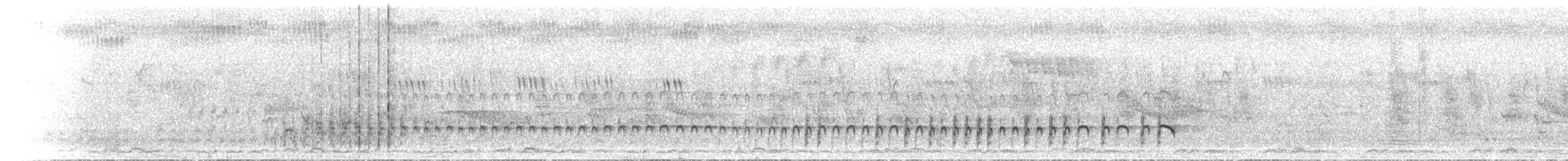 Forbes's Plover - ML435436971