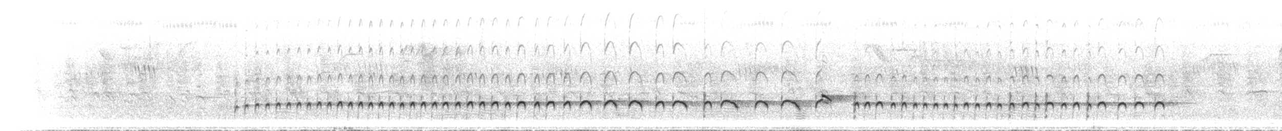 ニシミスジチドリ - ML435436981