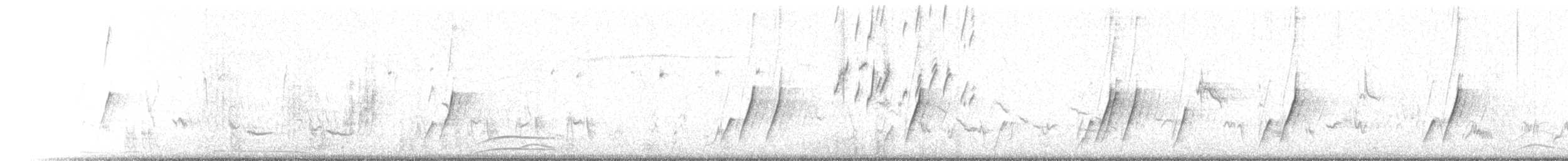 Krummschnabel-Spottdrossel - ML435456781