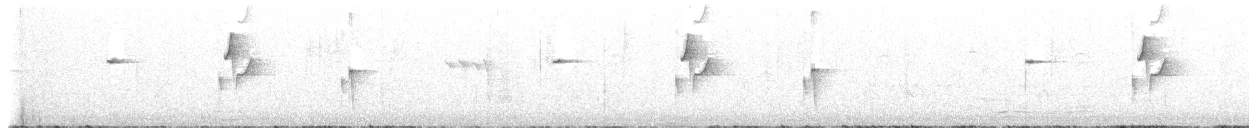 Western Flycatcher (Pacific-slope) - ML435463731