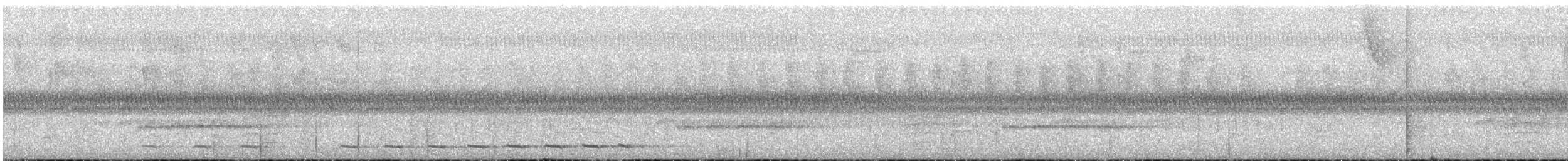 Streifenbrust-Ameisendrossel - ML43558421