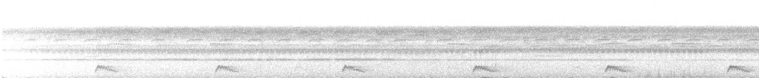 Yucatánnachtschwalbe - ML435600081