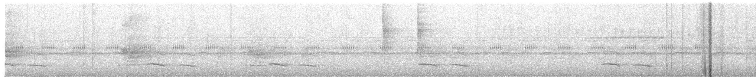 Streifenkopf-Ameisenvogel - ML435601481