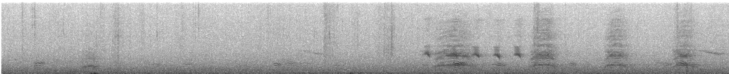 Limpkin - ML435659581