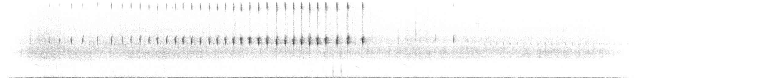 Fahnennachtschwalbe - ML435676591
