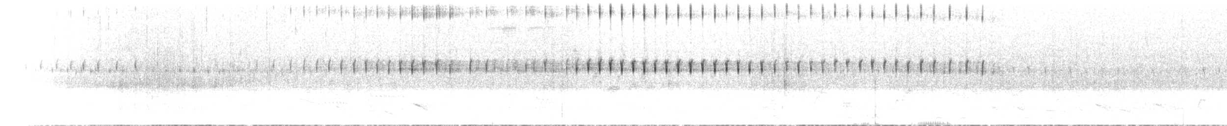Fahnennachtschwalbe - ML435676601