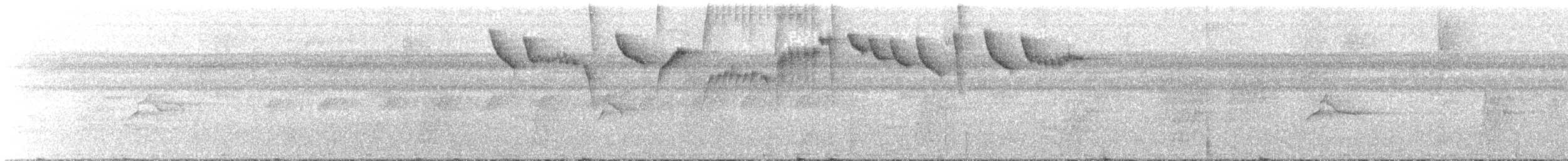 Полосатохвостый колибри-отшельник - ML435781651