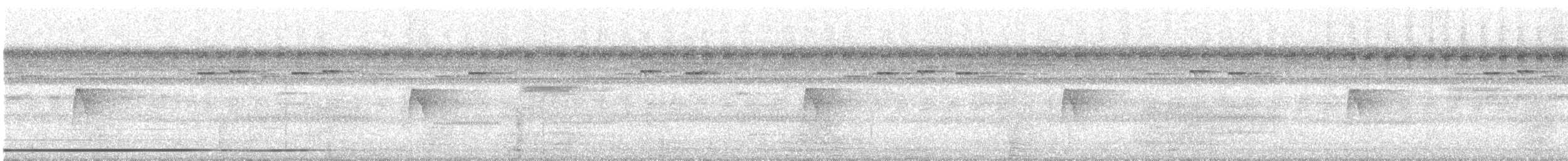 Tinamou de Boucard - ML435801661