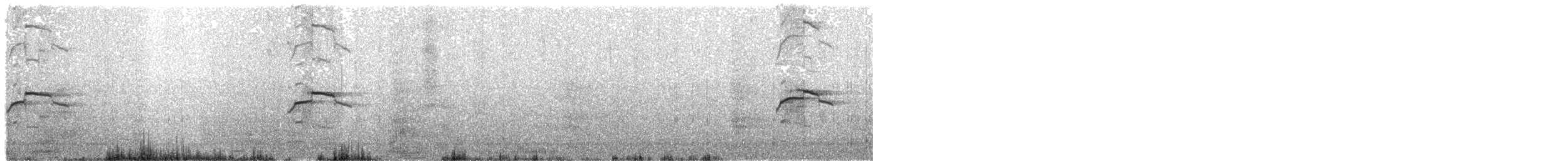 紐澳紅嘴鷗(novaehollandiae/forsteri) - ML43587521