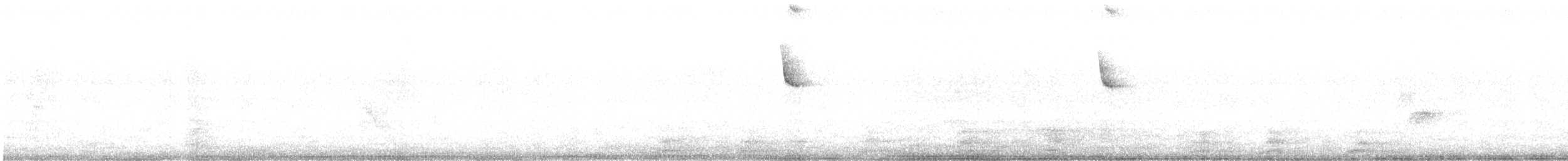 kolibřík cerradový - ML435878881