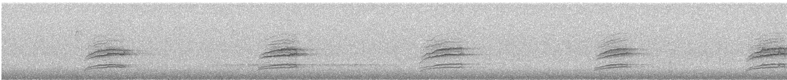 Дрізд-короткодзьоб плямистоволий - ML435904281