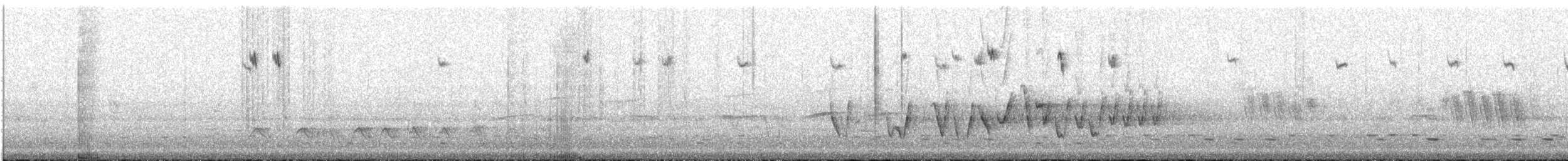 Slaty-backed Thornbill - ML436008141