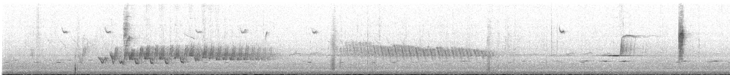 Slaty-backed Thornbill - ML436008161