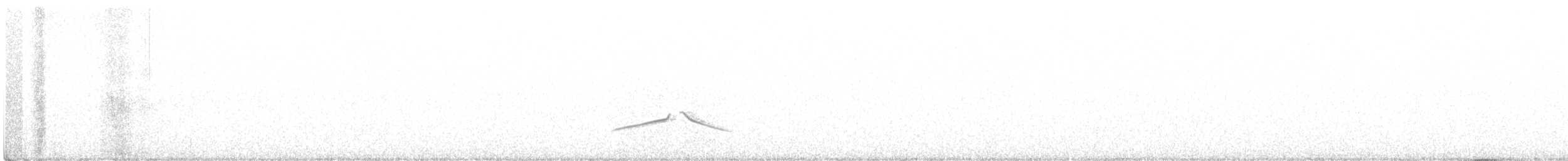 Black-billed Shrike-Tyrant - ML436100911