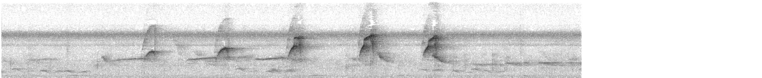 Orange-eyed Flatbill - ML436106801