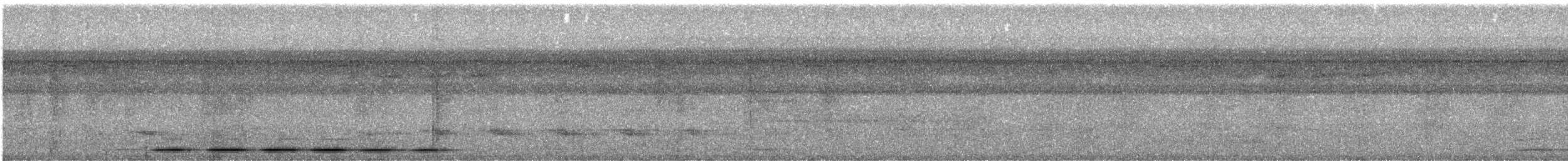 Thrush-like Antpitta - ML436108051