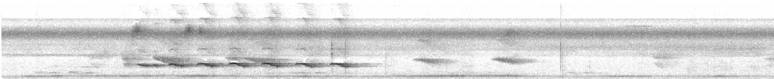 White-shouldered Antbird - ML436108101