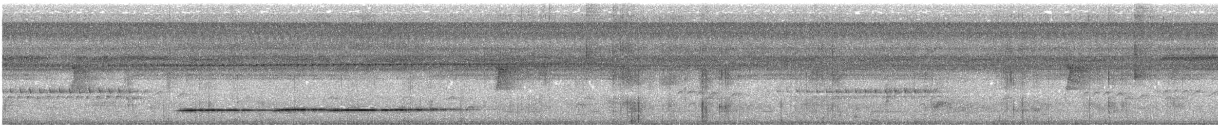 Undulated Tinamou - ML436108461