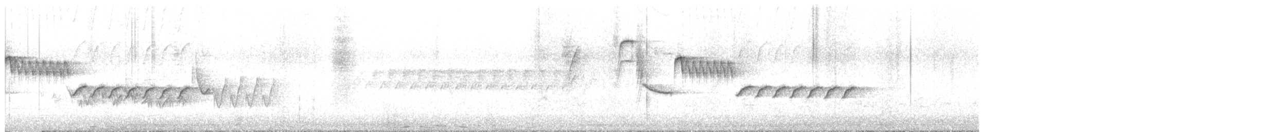 Troglodyte de Bewick - ML436131531