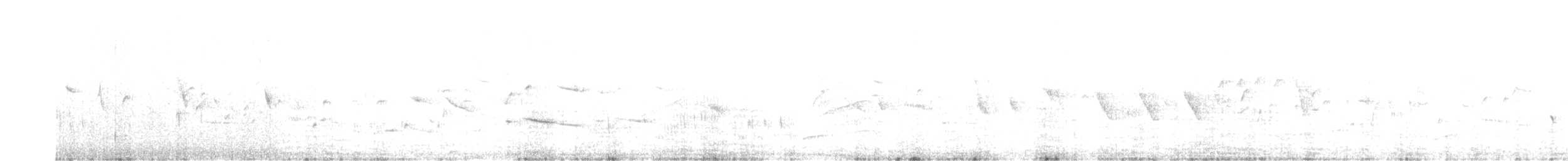 "Канарский вьюрок, дикая канарейка" - ML436163201