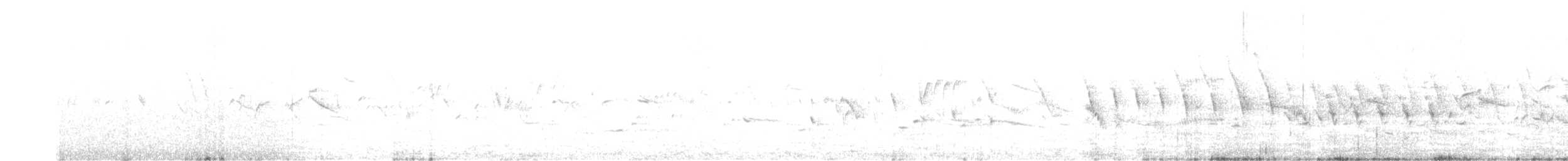 "Канарский вьюрок, дикая канарейка" - ML436163221