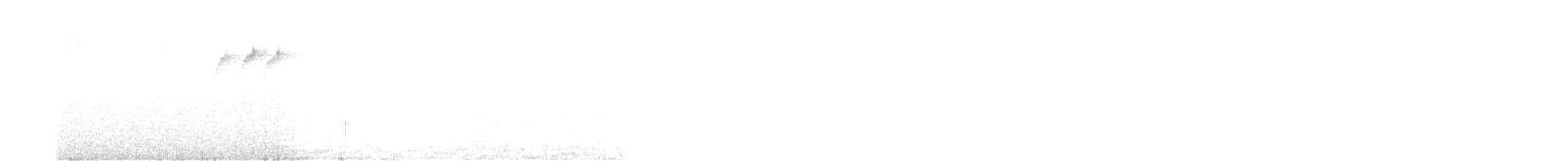 キクイタダキ（teneriffae） - ML436167401