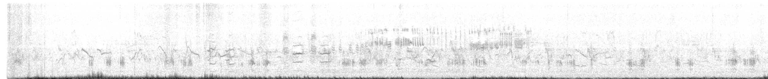 Great Reed Warbler - ML436173681