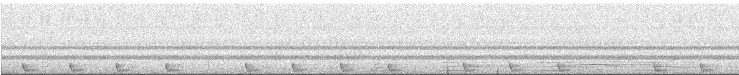Large-tailed Nightjar - ML436201681