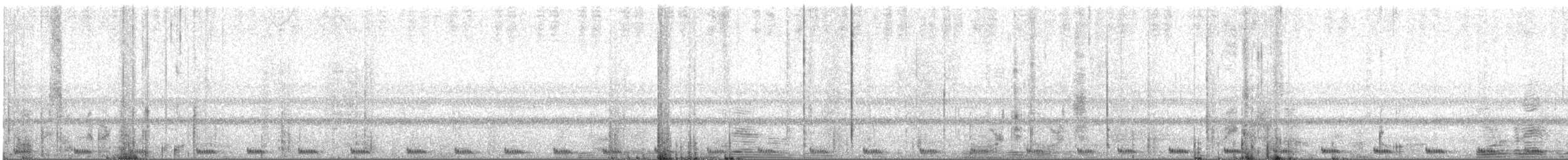Large-tailed Nightjar - ML436202471