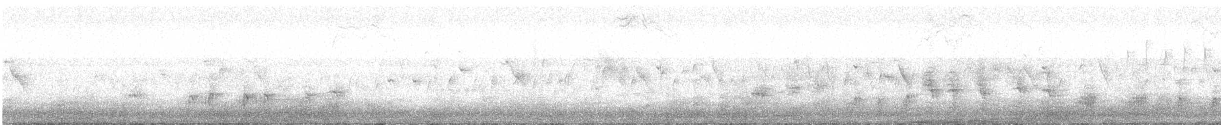Great Reed Warbler - ML436210601