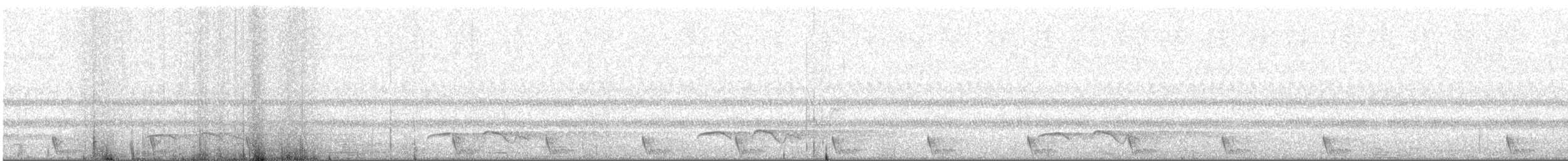 Large-tailed Nightjar - ML436218941