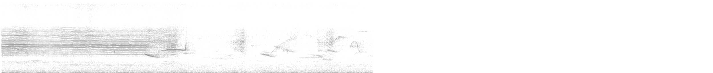 Тиранчик-тонкодзьоб південний - ML436267721