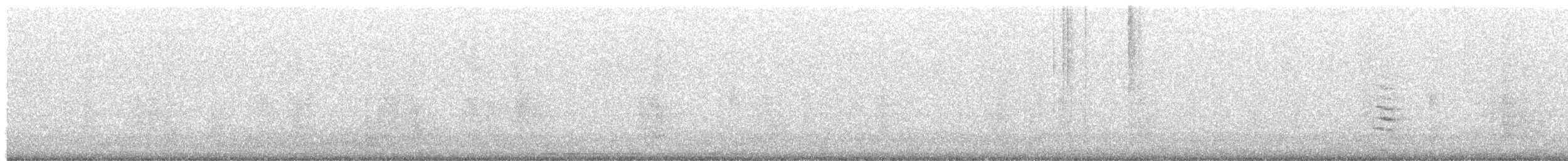 Gallinule sombre - ML436334741
