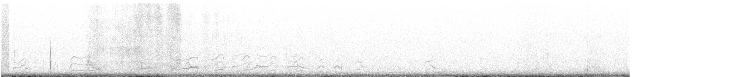 שחף אפור-זנב - ML436359811