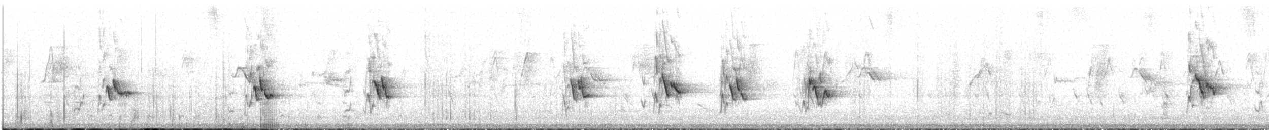 Méliphage festonné - ML436374571