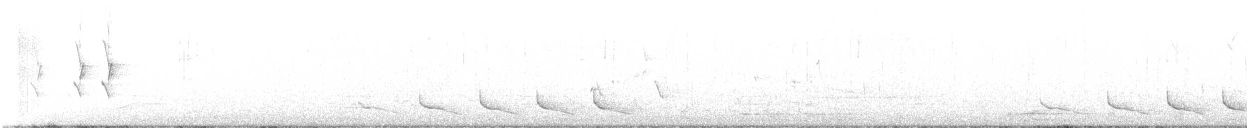 ショウジョウコウカンチョウ - ML436378131