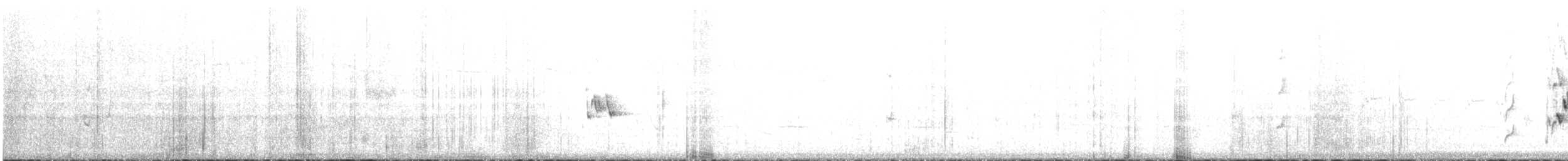 Медолюб-шилодзьоб західний - ML436392541