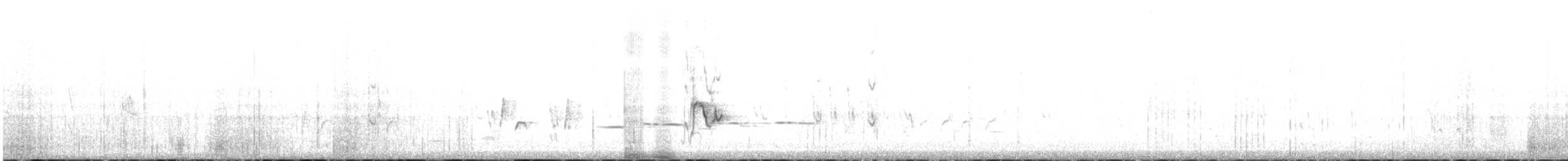 Медолюб-шилодзьоб західний - ML436392891