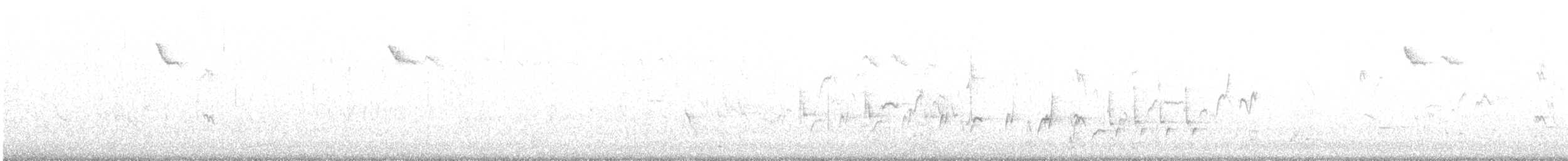 Синегрудый малюр - ML436397251