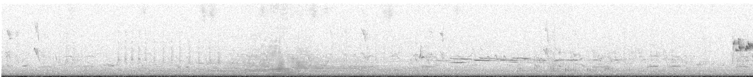 Медолюб-шилодзьоб західний - ML436398201